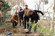 بزرگداشت روز ملی درختکاری در مجتمع بیمارستانی امیراعلم